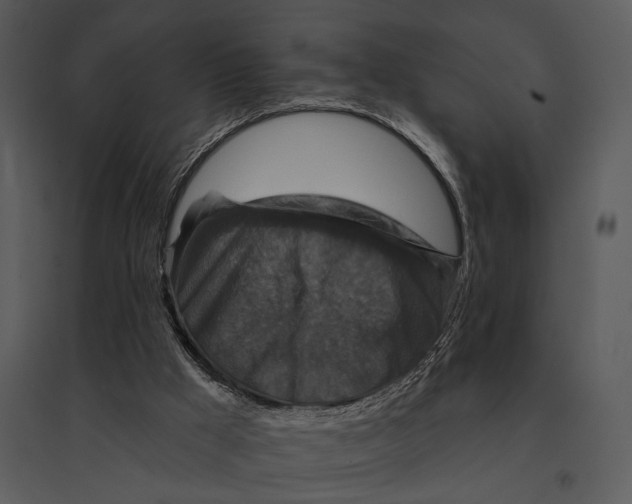 X0000095510009200801041211