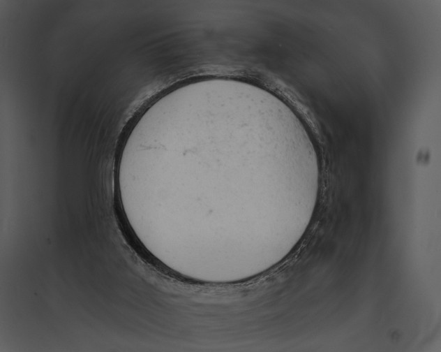 X0000095510011200801041211