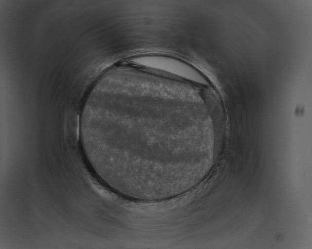 X0000095510013200801041211