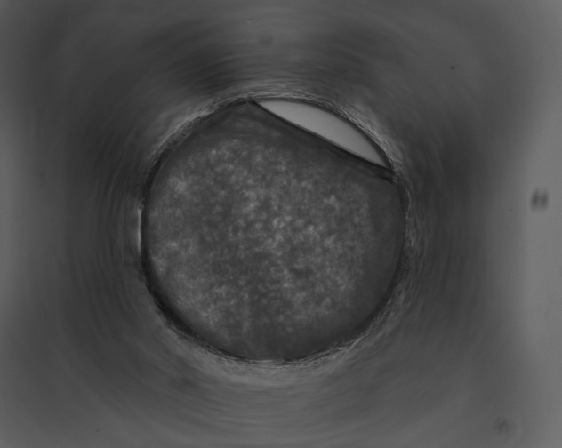 X0000095510014200801041211