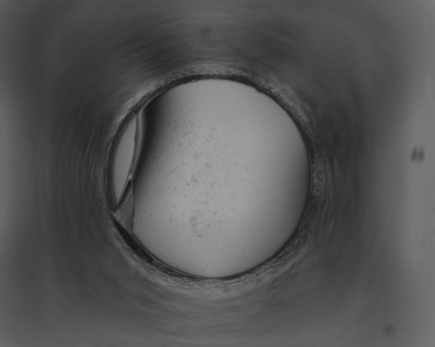 X0000095510015200801041211