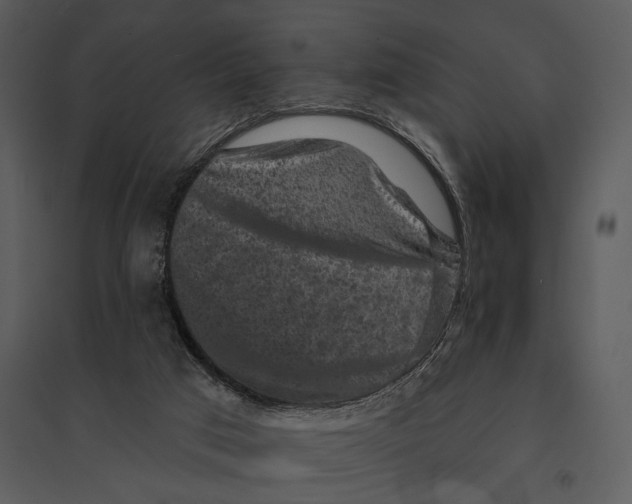 X0000095510017200801041211