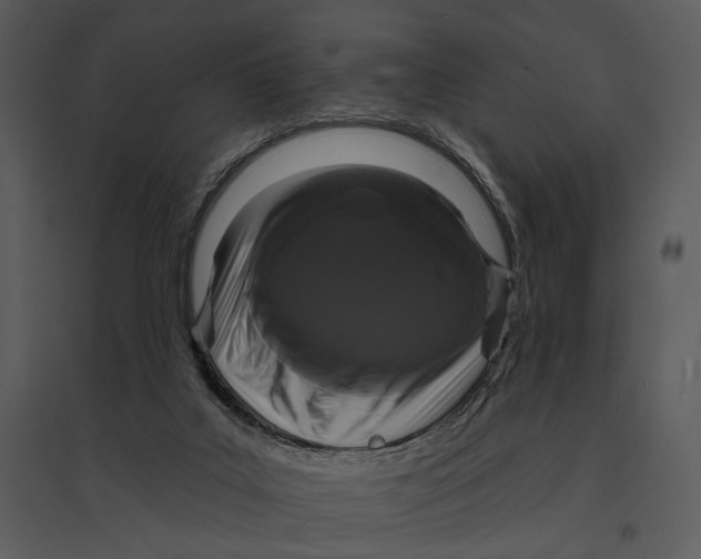 X0000095510019200801041210