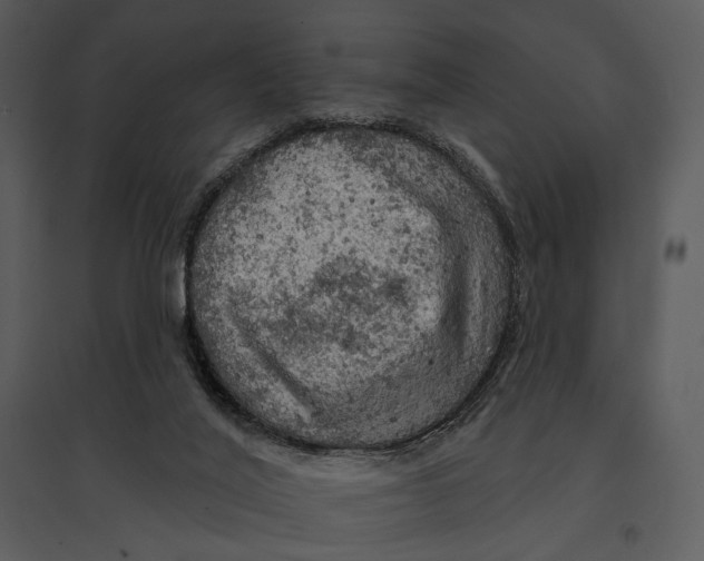 X0000095510020200801041210