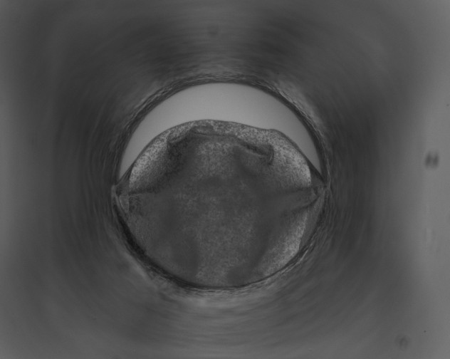 X0000095510021200801041210