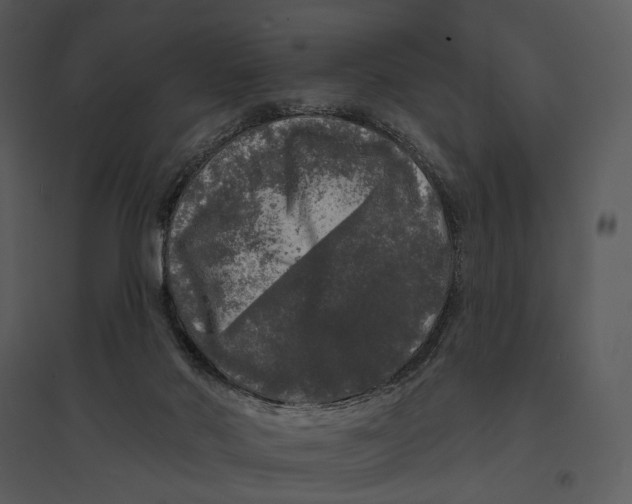 X0000095510022200801041210