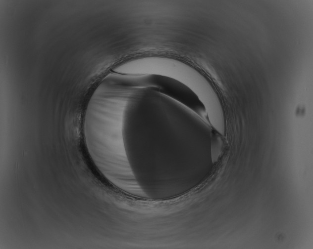 X0000095510023200801041210