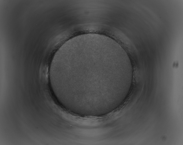 X0000095510024200801041210