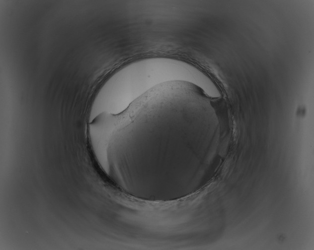 X0000095510027200801041210