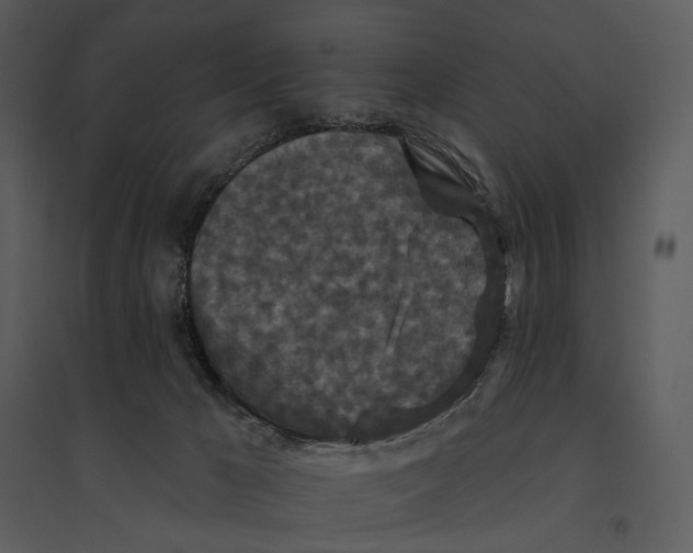 X0000095510029200801041210