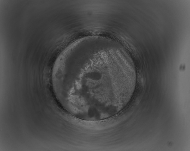 X0000095510030200801041210