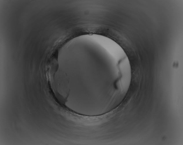 X0000095510031200801041210