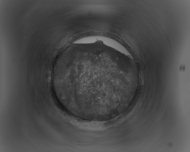 X0000095510032200801041210