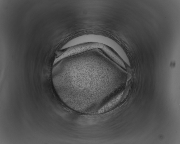 X0000095510033200801041210