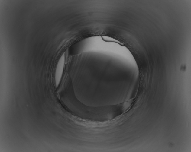 X0000095510035200801041210