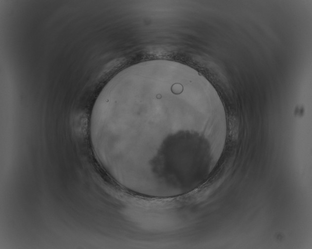 X0000095510036200801041210