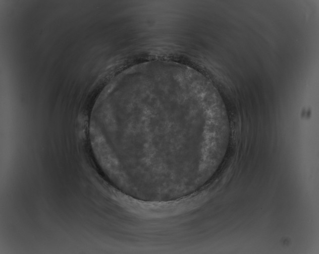 X0000095510038200801041210