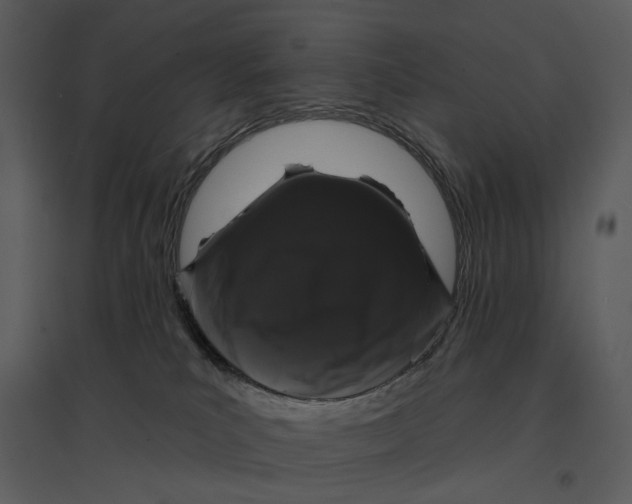 X0000095510039200801041210