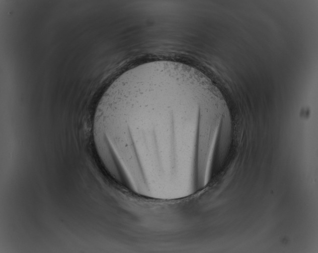 X0000095510040200801041210