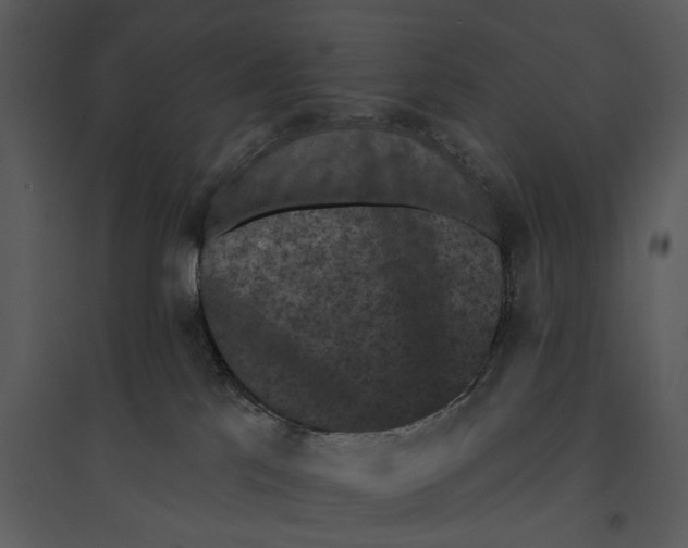 X0000095510041200801041210