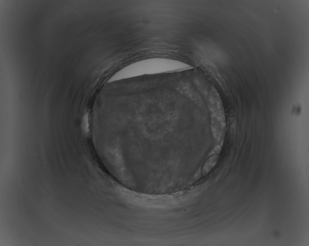 X0000095510042200801041210