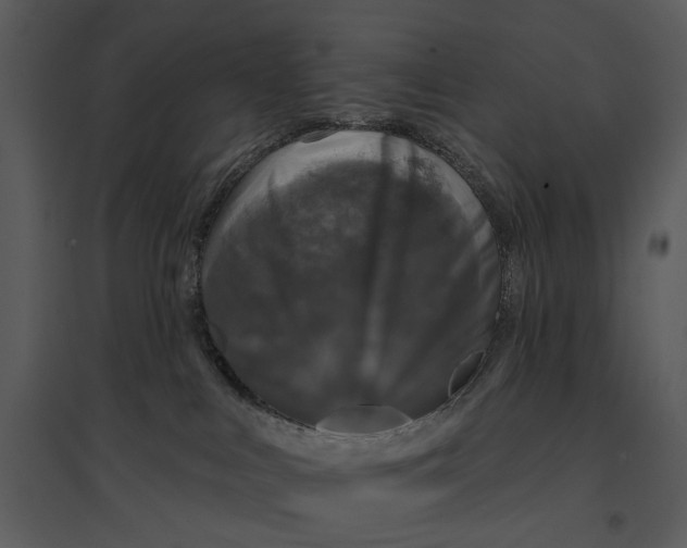 X0000095510043200801041210