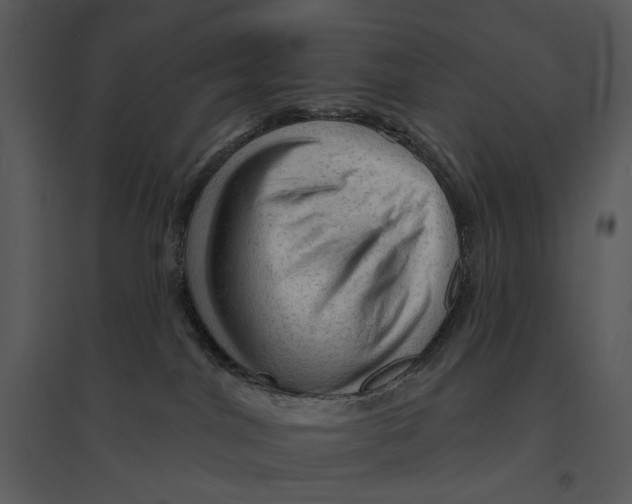 X0000095510044200801041210