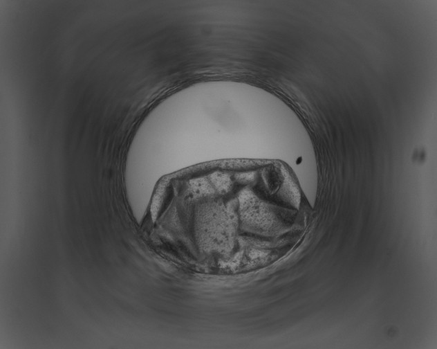 X0000095510045200801041210