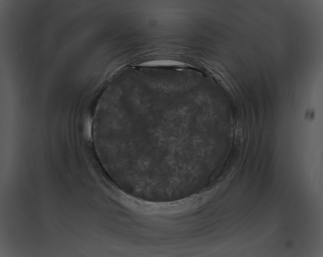 X0000095510046200801041210