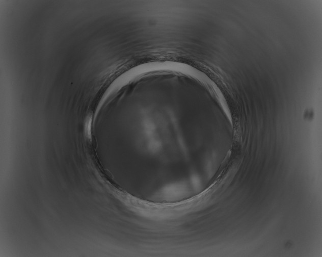 X0000095510047200801041210