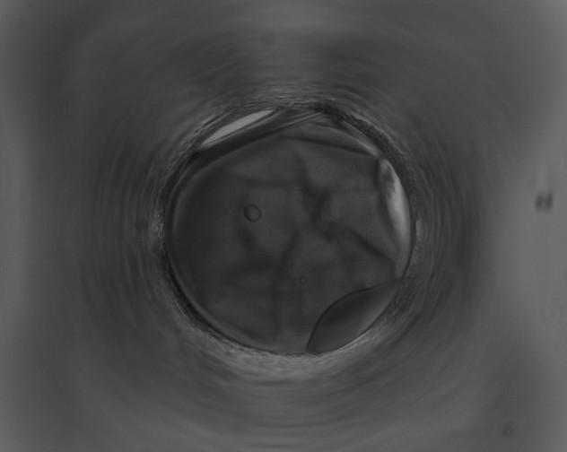 X0000095510048200801041210