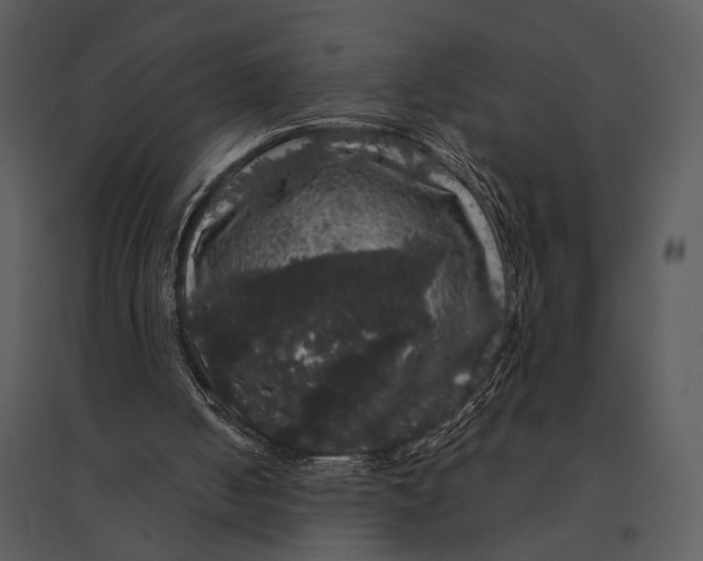 X0000095510050200801041209