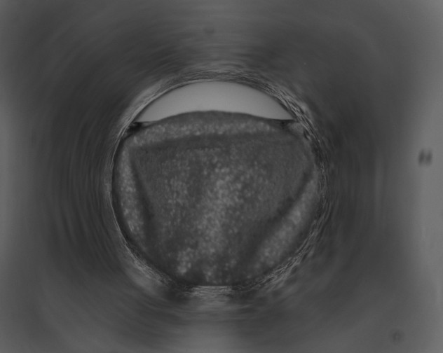 X0000095510051200801041209