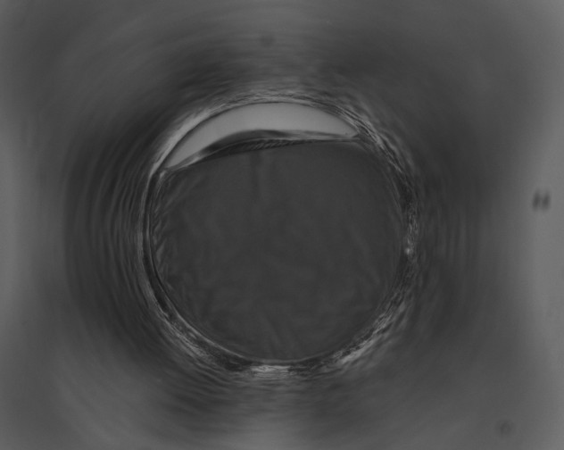 X0000095510052200801041209