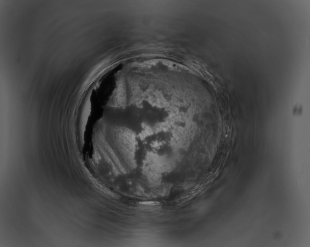 X0000095510053200801041209