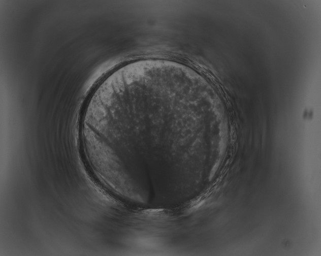 X0000095510054200801041209