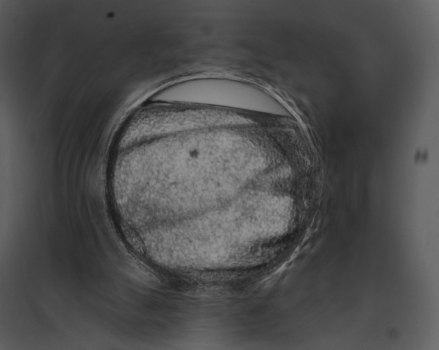 X0000095510055200801041210