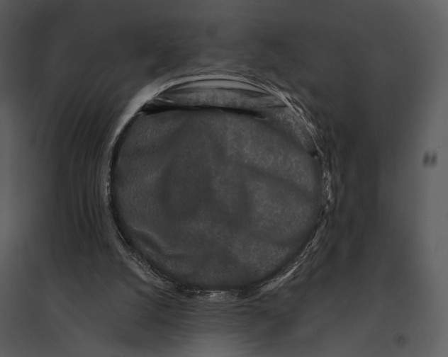 X0000095510056200801041210