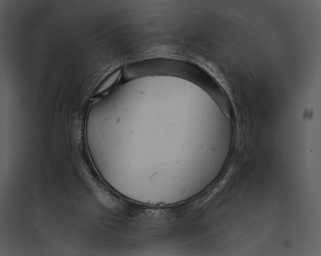 X0000095510057200801041210