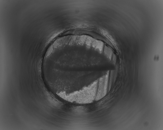 X0000095510058200801041210