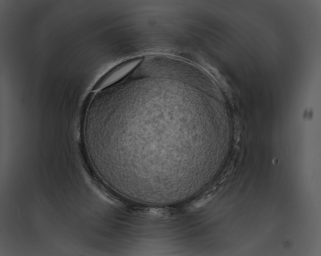 X0000095510060200801041210