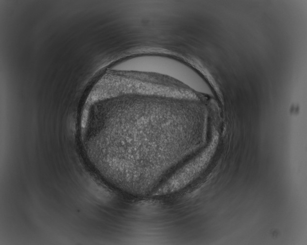 X0000095510063200801041210