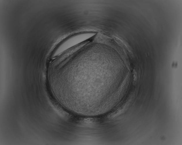 X0000095510064200801041210