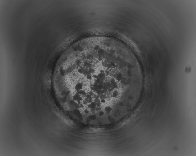 X0000095510065200801041210