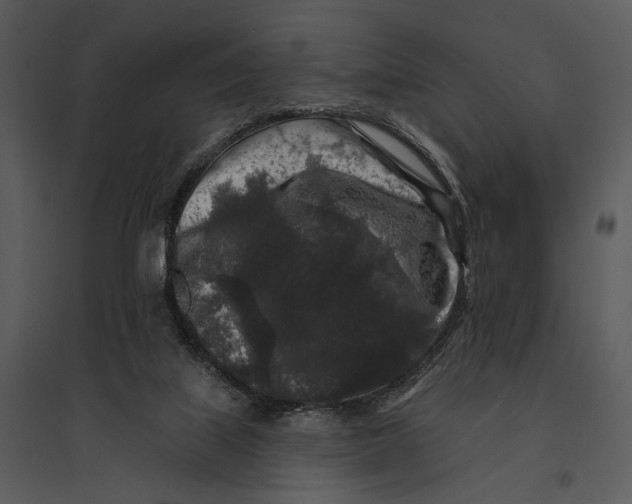 X0000095510067200801041210