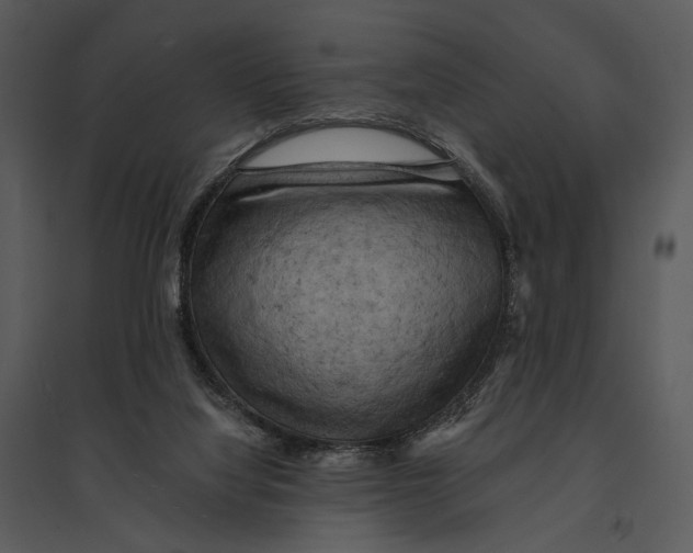 X0000095510068200801041210