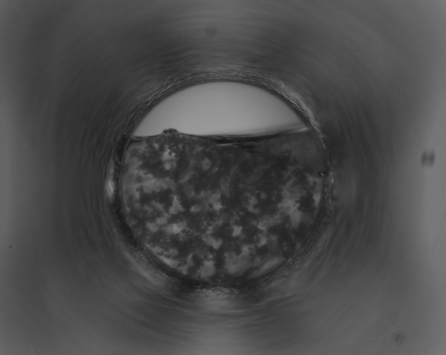 X0000095510069200801041210