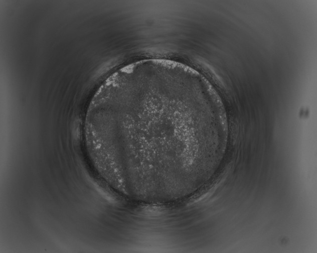 X0000095510071200801041210