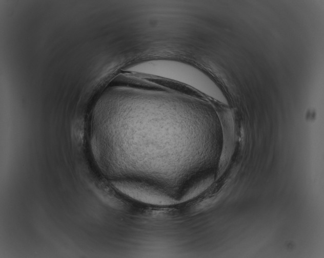 X0000095510072200801041210