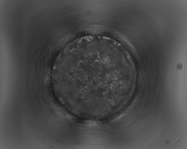 X0000095510073200801041210